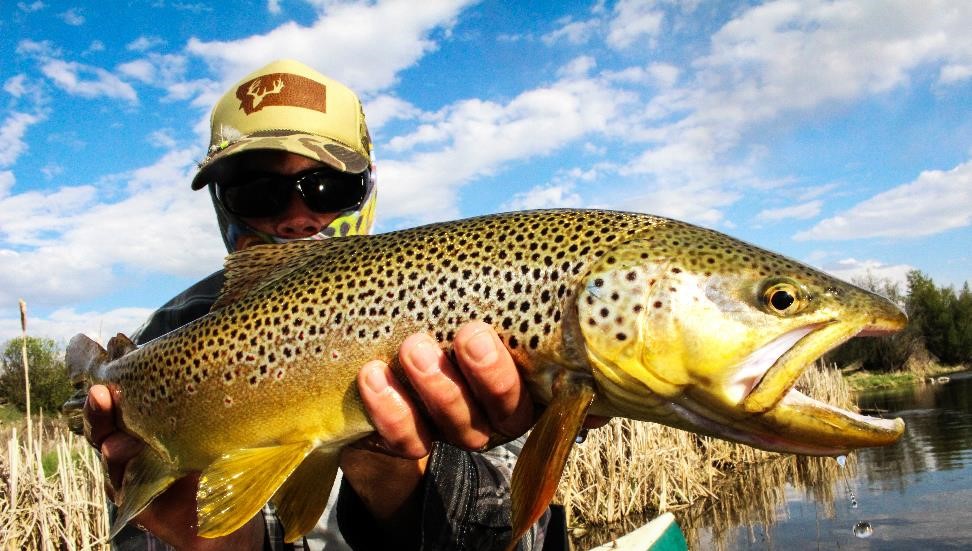 man holding trout river