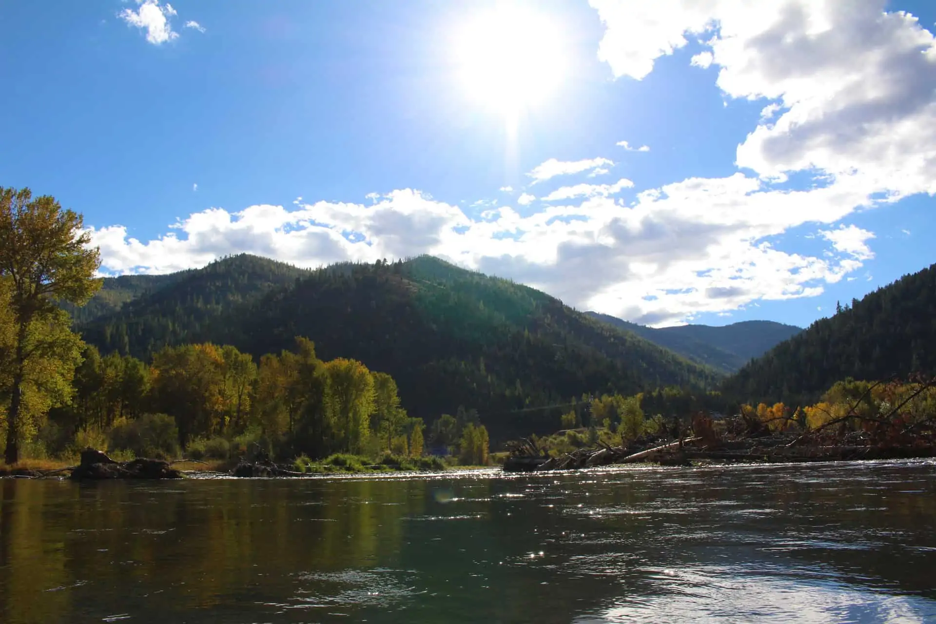 Clark Fork River Pile Logs