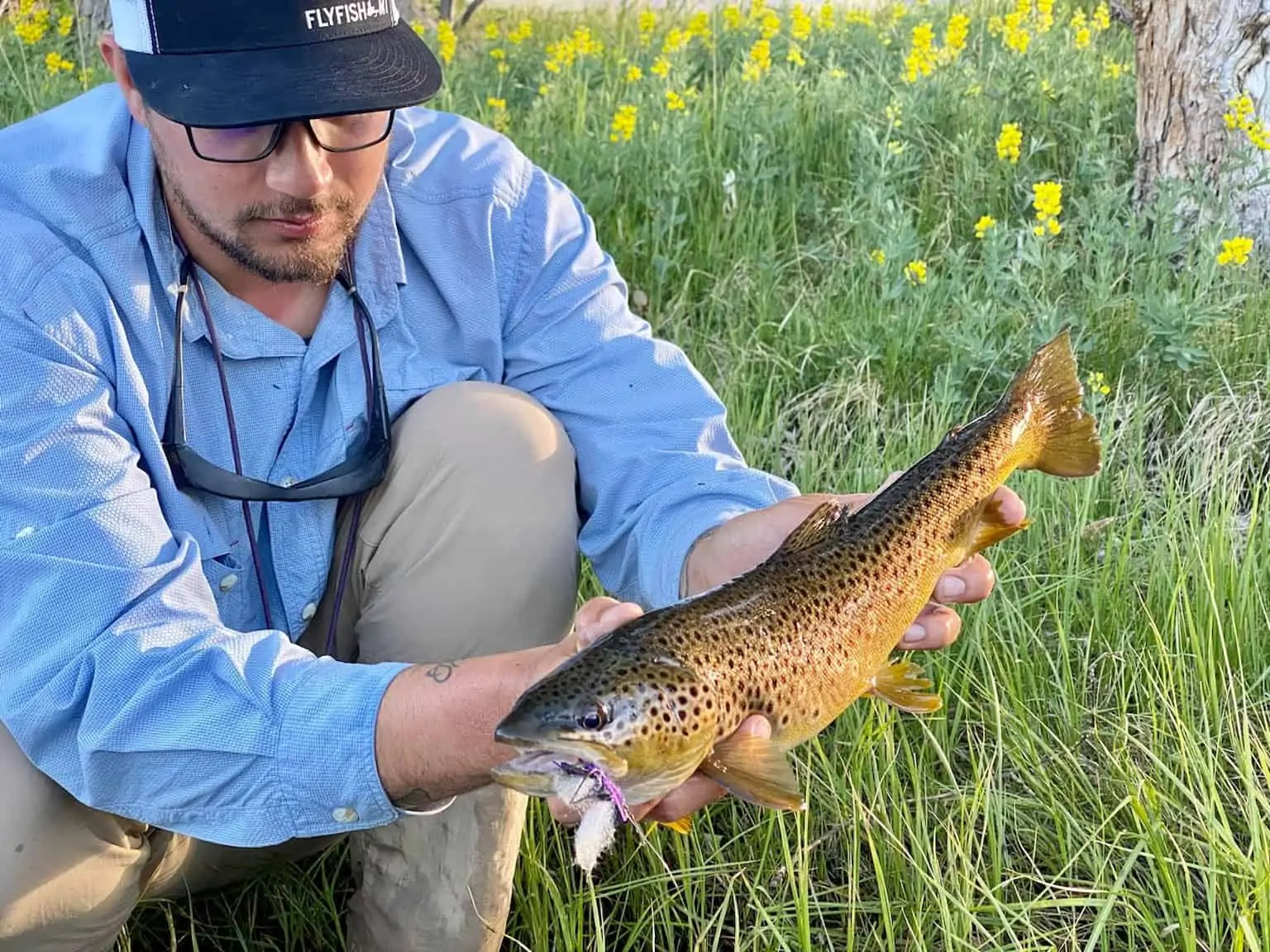 Massive Trout from Missouri River